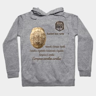 Eastern Box Turtle Shell Bone Taxonomy Hoodie